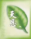 關於天恩茶業1