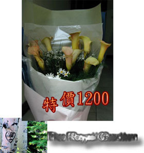 \花束6 海芋淡黃色 1200.jpg