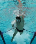 專業游泳訓練用具用品泳具批發零售