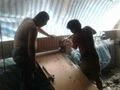 https://s.web66.com.tw/_file/32/PW201212/1355887229760_120.jpg