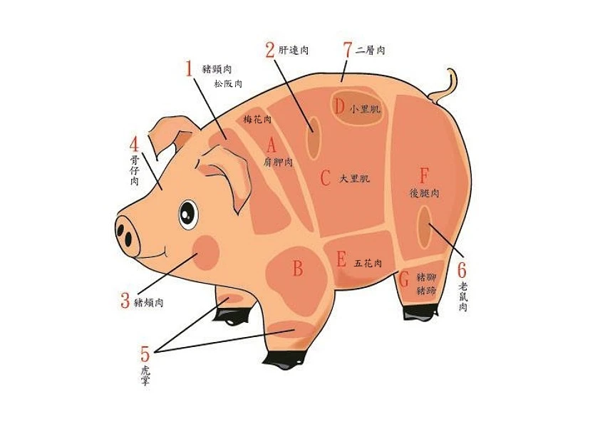 新竹豬肉、桃園豬肉、台北豬肉、竹北豬肉圖2