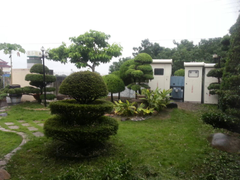割草