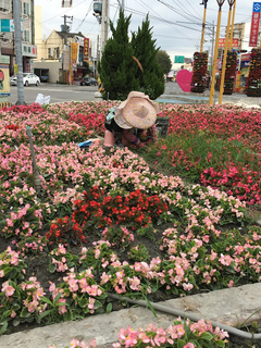 花