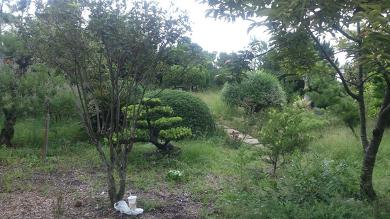 部落休閒新趨勢　原住民園藝治療樂活趣