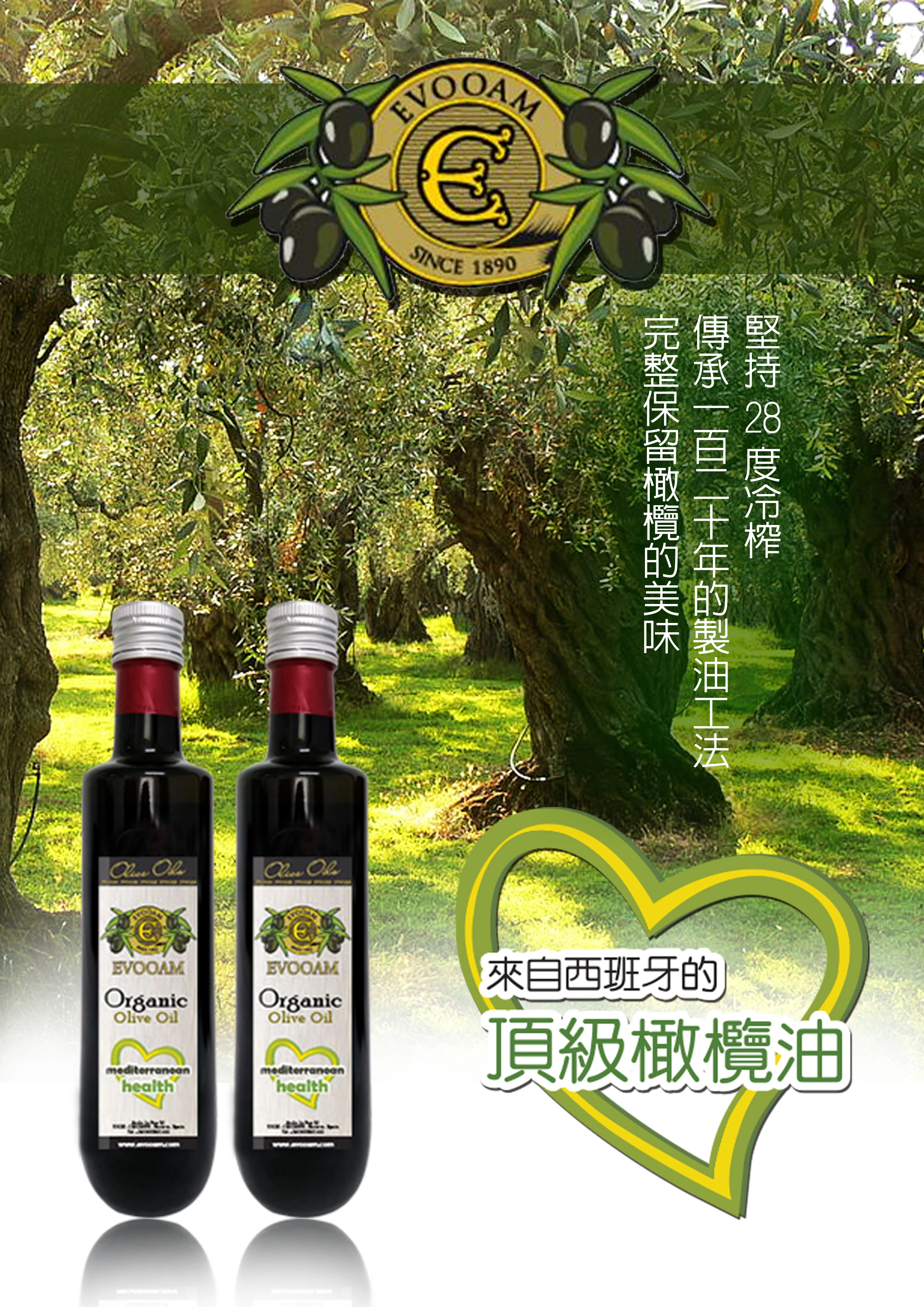 120年 西班牙Evooam頂級橄欖油
