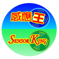 感應王科技有限公司
