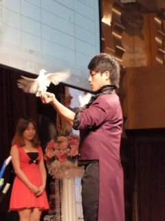 專業魔術表演