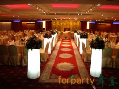 紅地毯花道-婚禮會場佈置