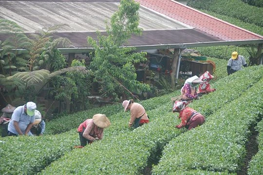 關於天一民宿2