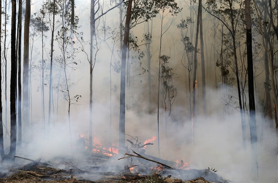 臭氧層破洞擴大 3年前澳洲野火害的