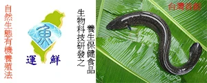 運鮮企業有限公司研發養生鱸鰻保健食品圖1