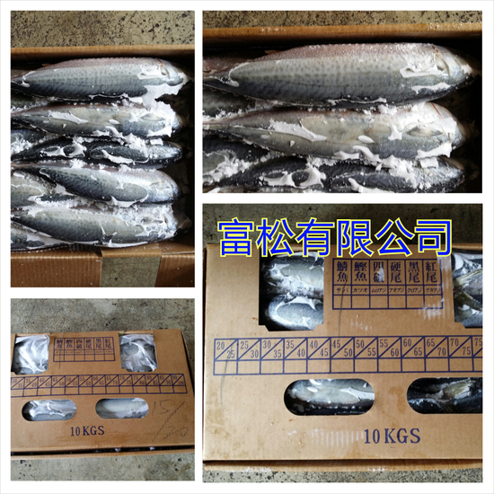 鯖魚富松有限公司
