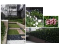 庭園景觀設計.景觀工程施工管理.維護保養病蟲害防治