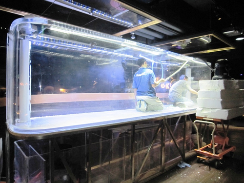 大型壓克力鯊魚缸施工過程