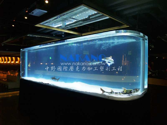 大型水族箱-鯊魚缸