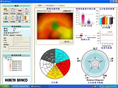 能量光場顯示器