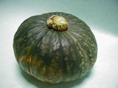 生菜