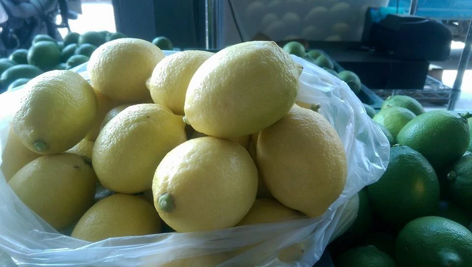 台灣第一檸檬無農藥殘留供應商
