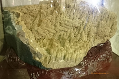 福記實業-異象