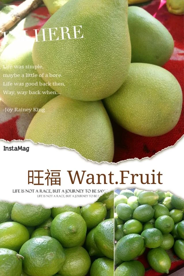 產地水果、餐飲用水果、水果大量發、精緻禮盒包裝