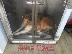 烘箱設備