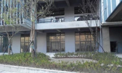 綠化完成