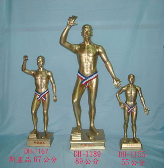 德翰針灸教學模型公司