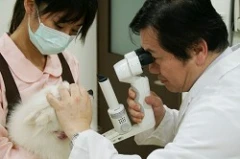 英國皇家動物醫院
