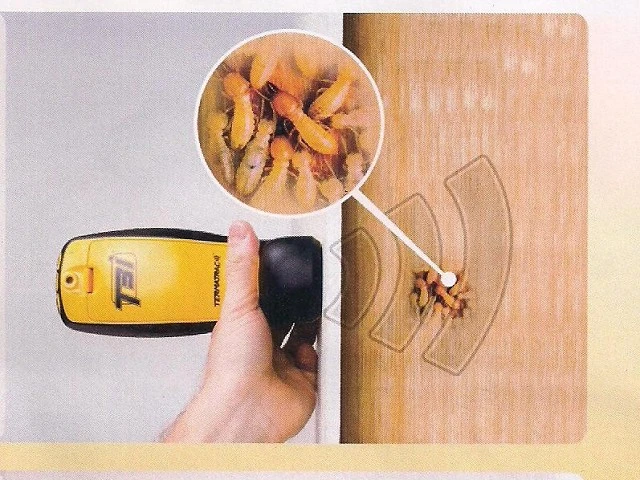 最新專利的白蟻偵測器