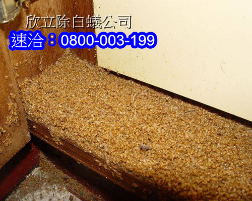 消滅白蟻
