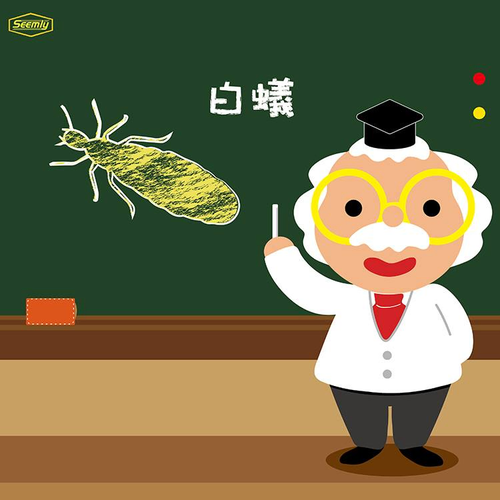 滅蟻專家