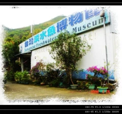 清泉