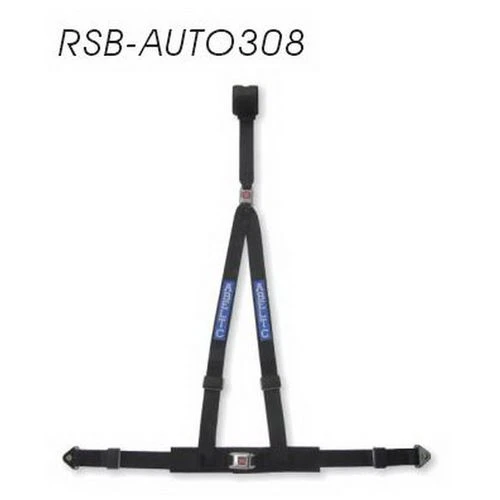 RSB-AUTO308