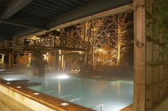 泰安湯悅溫泉會館