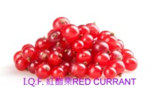 I.Q.F. 紅醋栗(有梗) RED CURRANT