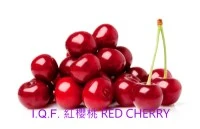 I.Q.F. 紅櫻桃 RED CHERRY