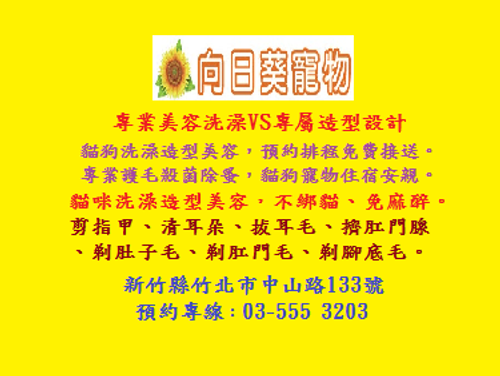 向日葵圖標