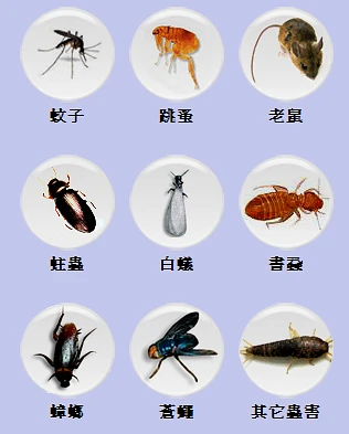 替您解決白蟻，蟑螂、跳蚤、老鼠、蛀蟲、螞蟻、蚊蠅等各類害蟲的困擾