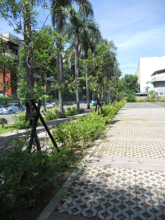 台南市慶中街美化工程。