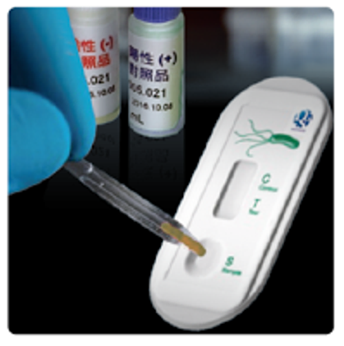 RAPID TEST
