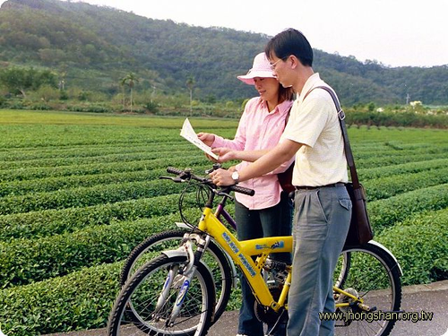 中山休閒農業區茶園之旅