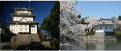 小田原天守閣