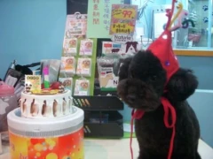 萬佳寵物店