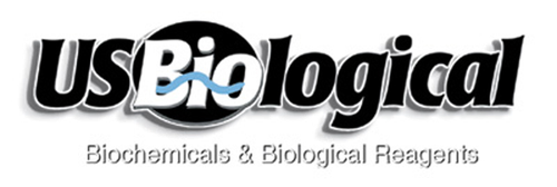 USB logo