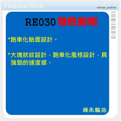 RE030-規格表、特性說明