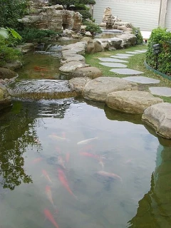 風水魚池永保清澈系統