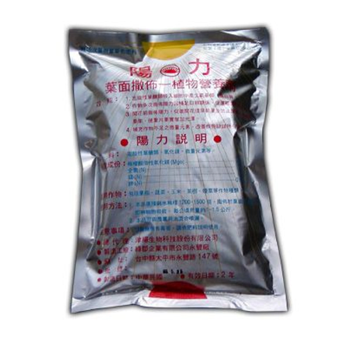 陽力照片
