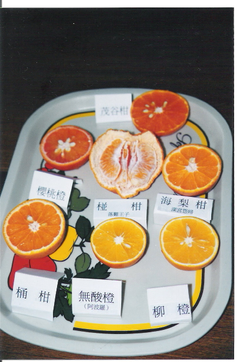 各式甘桔饗宴