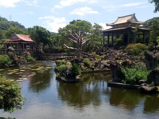 單身旅遊~士林官邸-雙溪公園賞花趣