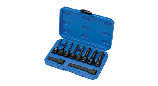 10PCS SOCKET BIT SET